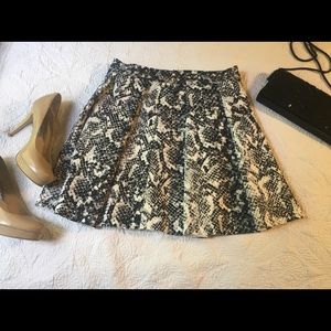 Ambercrombie and Fitch Snake Print Skater Skirt